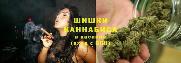 тгк Абаза