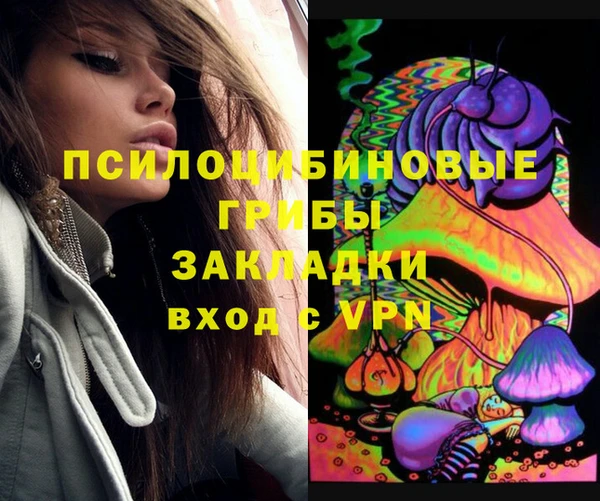 шишки Абдулино