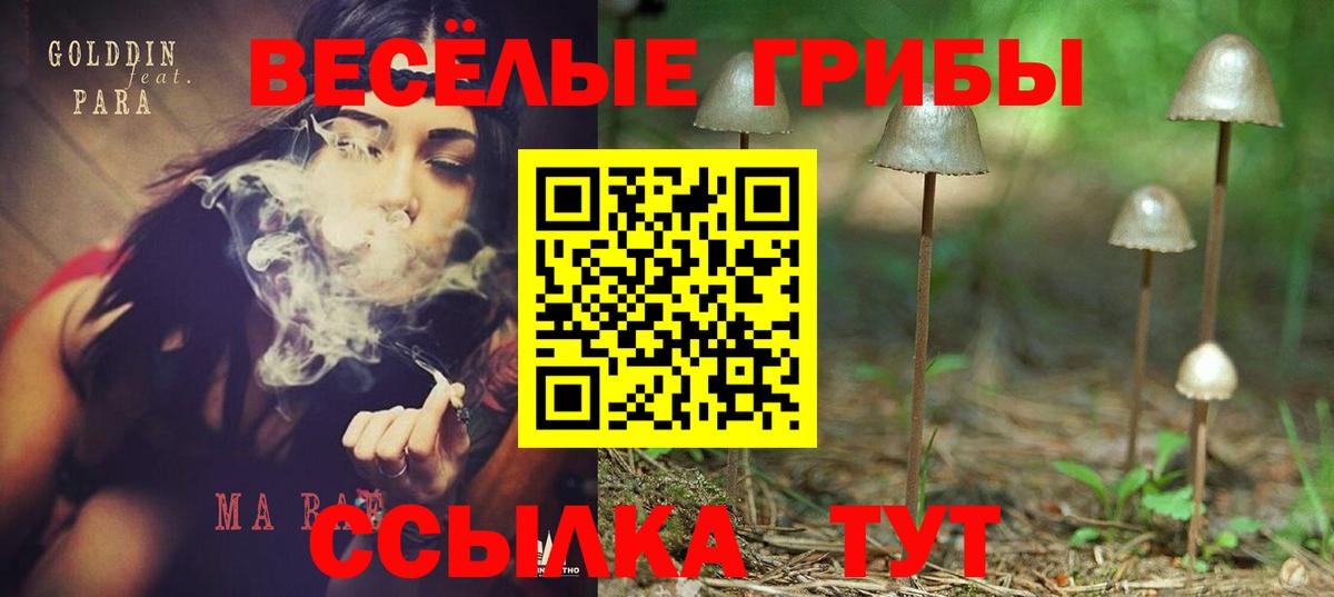 Сафоново  Псилоцибиновые грибы ЛСД  Вход с VPN 